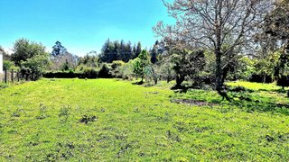 Terreno en venta en Sada