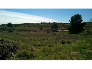 Solar en venta en Cheste