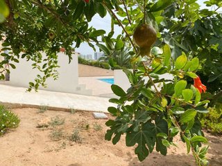 Chalet en alquiler en Los Balcones - Los Altos del Edén en Torrevieja