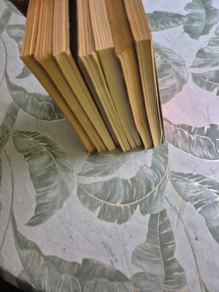 Lote de 8 libros literatura juvenil