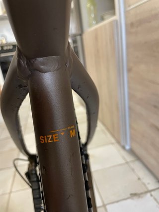 ORBEA ALMA H10 EAGLE