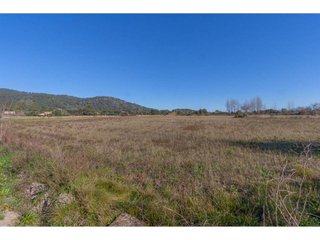 Terreno en venta en Pollença en Pollença