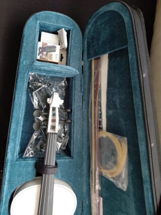 Violín blanco con arco y funda