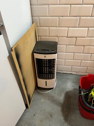 Ventilador Pinguino