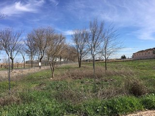 Solar en venta en Villarrubia de los Ojos
