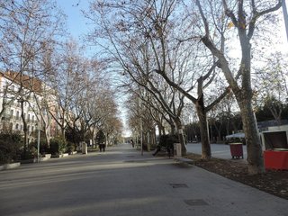 Oficina en alquiler en Centro en Valladolid