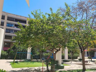 Local comercial en venta en Zona Pueblo en Guardamar del Segura