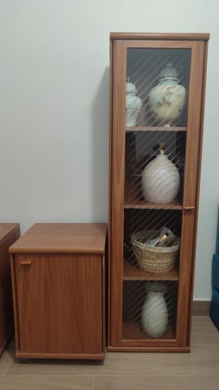 Módulos salón madera y cristal