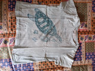 Lote camisetas niño 7 años