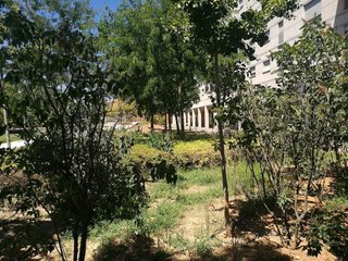 Local comercial en alquiler en Larache en Ciudad Real