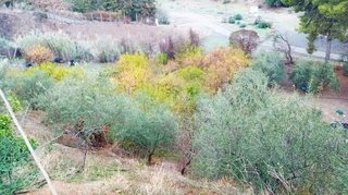 Casa rural en venta en Álora
