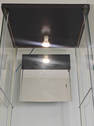 Vitrina de cristal con luz