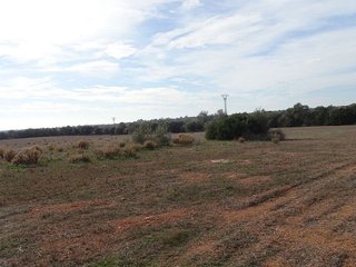 Terreno en venta en Llucmajor Interior en Llucmajor