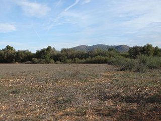 Terreno en venta en Llucmajor Interior en Llucmajor