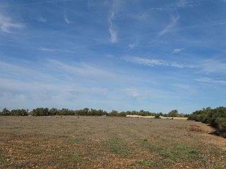 Terreno en venta en Llucmajor Interior en Llucmajor