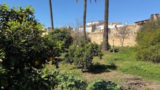 Terreno en venta en Alberic