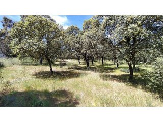Terreno en venta en Raya del Palancar - Guadamonte en Villanueva de la Cañada