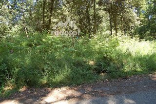 Terreno en venta en Salvaterra de Miño