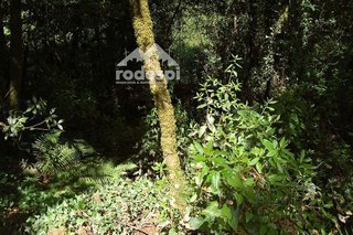 Terreno en venta en Salvaterra de Miño