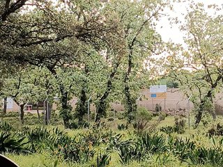Terreno en venta en Candeleda