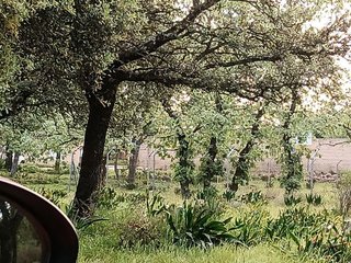 Terreno en venta en Candeleda