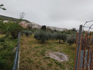 Terreno en venta en Cenes de la Vega