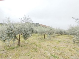 Terreno en venta en Cenes de la Vega