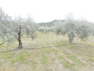 Terreno en venta en Cenes de la Vega