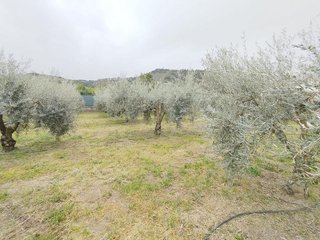 Terreno en venta en Cenes de la Vega
