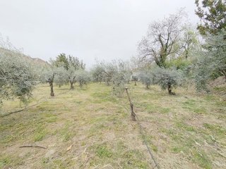 Terreno en venta en Cenes de la Vega
