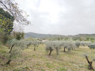 Terreno en venta en Cenes de la Vega