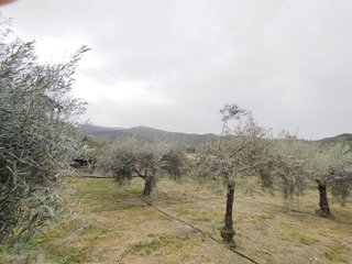 Terreno en venta en Cenes de la Vega