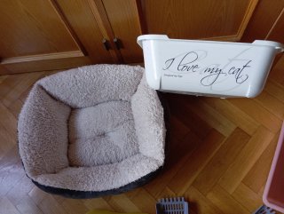 Cama, arenero y comederos para gato