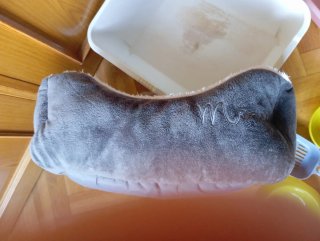 Cama, arenero y comederos para gato