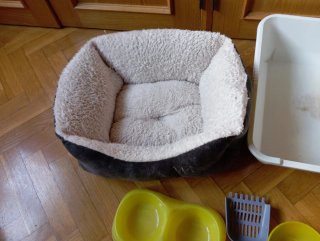 Cama, arenero y comederos para gato