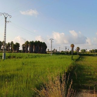 Terreno en venta en Urbanizaciones- Santa Ana- Las Estrellas en Gandia