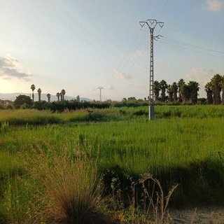 Terreno en venta en Urbanizaciones- Santa Ana- Las Estrellas en Gandia