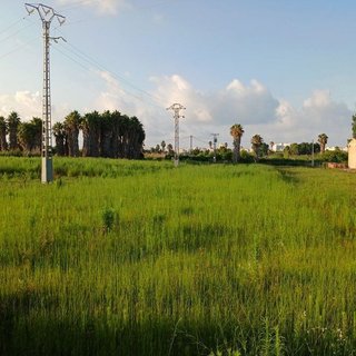 Terreno en venta en Urbanizaciones- Santa Ana- Las Estrellas en Gandia