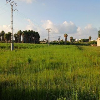 Terreno en venta en Urbanizaciones- Santa Ana- Las Estrellas en Gandia