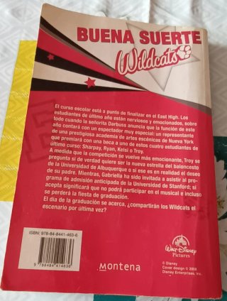 High School Musical 3, la graduación la novela