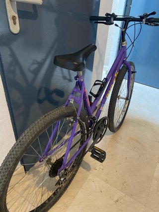 Bicicleta Morada Moab