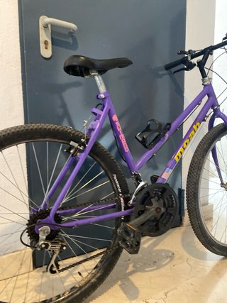 Bicicleta Morada Moab