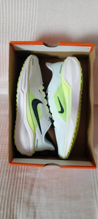 Nike Air Zoom Pegasus 41 Verde/Blanco