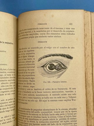 Tratado de las enfermedades de los ojos