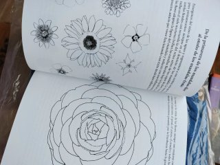 Libro terapia con mandalas