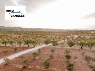 Terreno en venta en Padul