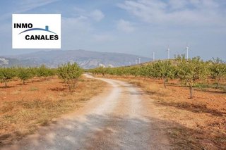 Terreno en venta en Padul