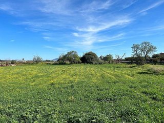 Terreno en venta en Porreres