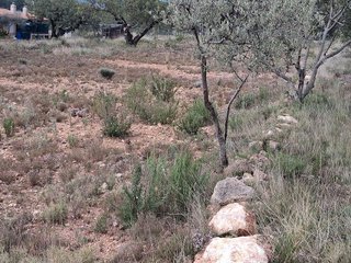 Casa rural en venta en Alcora, l´