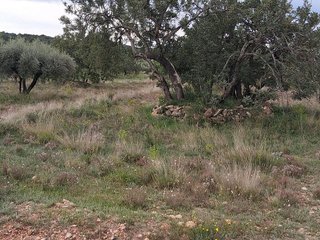 Casa rural en venta en Alcora, l´